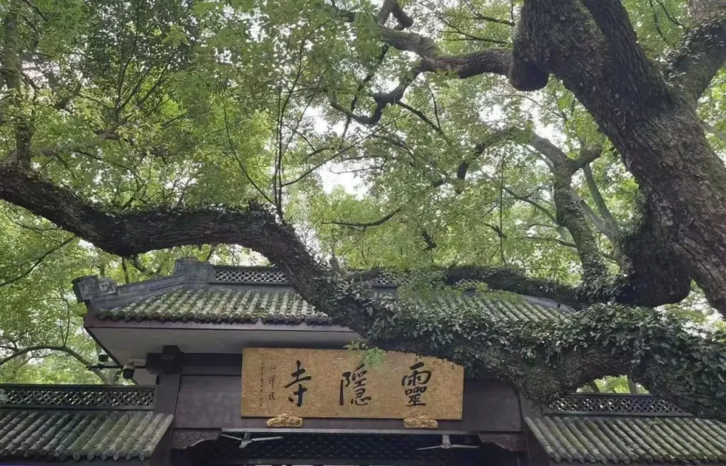 Hangzhou Travel Guide